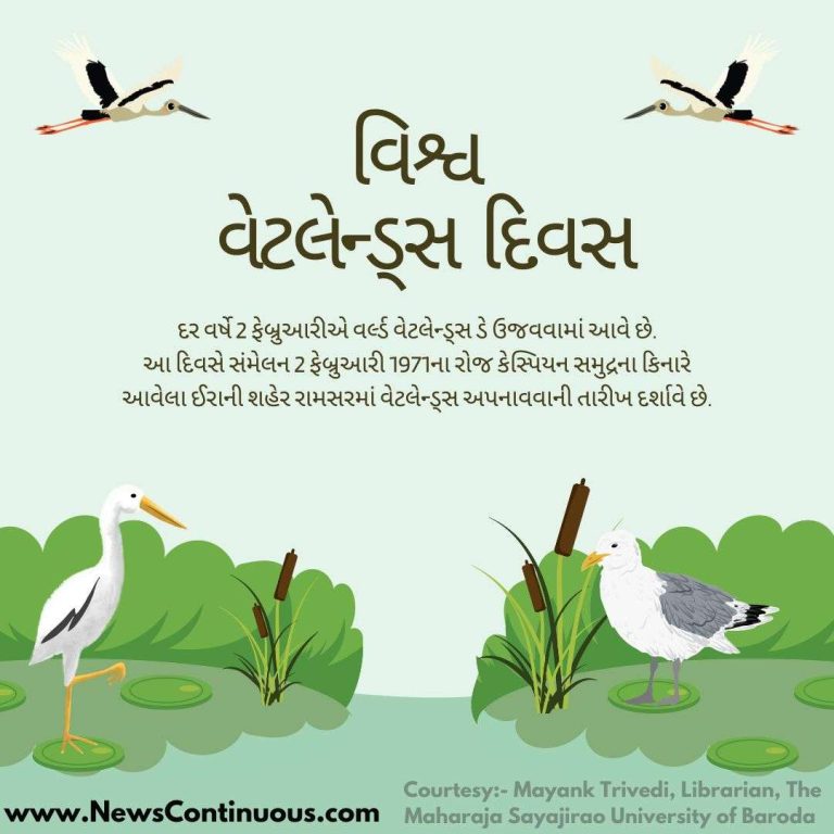 do you know (6)_11zon do you know (6)_11zon