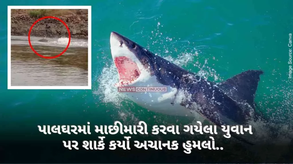 young man who went fishing in Palghar was suddenly attacked by a shark.. Then what happened