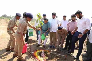 A beautiful and green landscape for the people of Surat, more than 3000 trees of 50 species have been planted in the 'Urban Forest