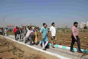 A beautiful and green landscape for the people of Surat, more than 3000 trees of 50 species have been planted in the 'Urban Forest