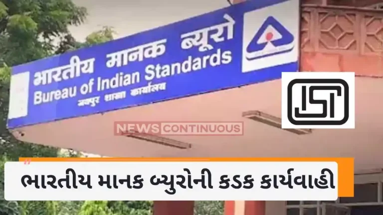 BIS Raid Bureau of Indian Standards raids on units using self-healing type shunt capacitors in AC systems without ISI mark