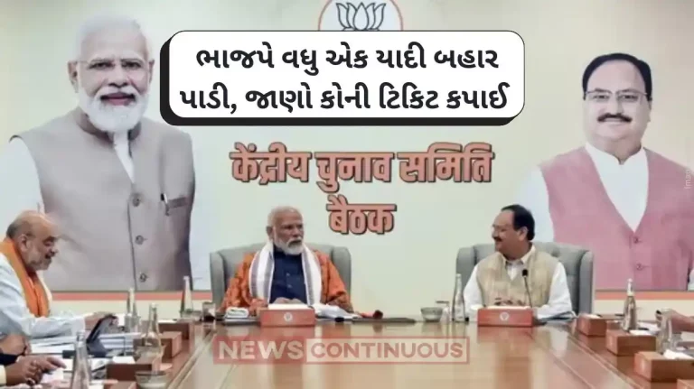 BJP List Kanhaiya Lal Meena fielded from Dausa, Indu Devi from Karauli-Dholpur in Rajasthan