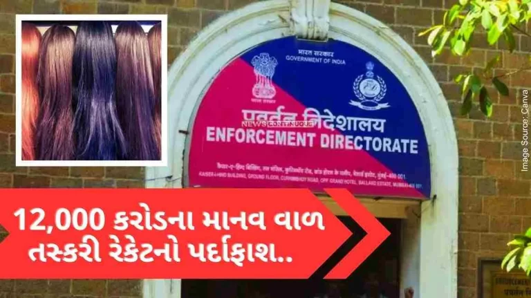 Big action by ED! 12,000 crore human hair trafficking racket exposed, this connection with China..
