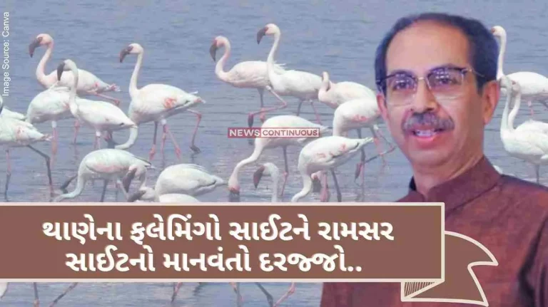Central government green signal to Uddhav Thackeray's proposal, Ramsar site status to Flamingo site in Thane.