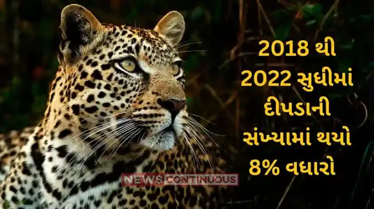 Leopard population Leopard numbers show 8% rise from 2018 to 2022