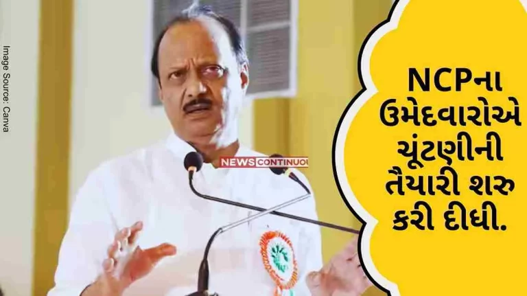 Maharashtra Politics From Nashik to North East Mumbai, NCP candidates have started preparing for the elections in 13 seats