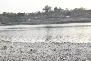 Narmada Collector Smt. Shweta Tevatia inspected the alternative route of Narmada Parikrama of Uttara Vahini.