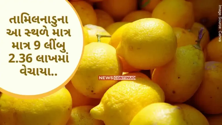 Panguni Uthiram festival: Only 9 lemons were sold at this place in Tamil Nadu for 2.36 lakhs, why such a price?