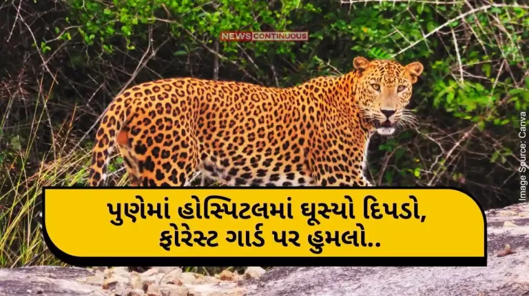 Pune Leopard Attack A leopard entered a hospital in Pune, attacked a forest guard.. finally rescued..