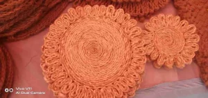 sisters of Komal Sakhimandal of Chalthan village of Palsana taluk of Surat district became financially supported by the sale of Juthkraft items