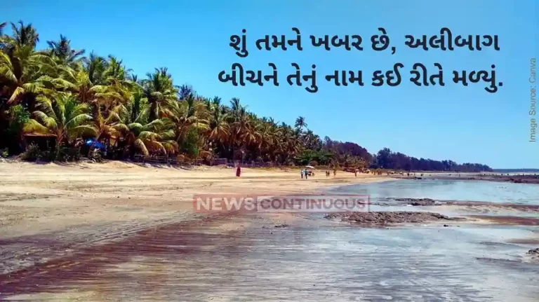Alibaug History Alibaug is the center of attraction of Maharashtra travel, know who was ‘Ali’ of Alibaug Muslim or Bene Israel Alibaug History Alibaug is the center of attraction of Maharashtra travel, know who was 'Ali' of Alibaug Muslim or Bene Israel