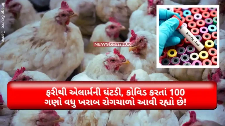 Bird Flu Alarm bells again, a pandemic 100 times worse than covid is coming! Experts expressed concern.