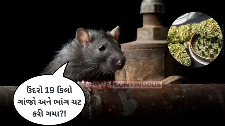 Drugs Case 19kg of seized drugs missing, Rats ate it, say Jharkhand police Drugs Case 19kg of seized drugs missing, Rats ate it, say Jharkhand police