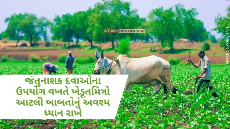 Farmers must take care of these things while using pesticides