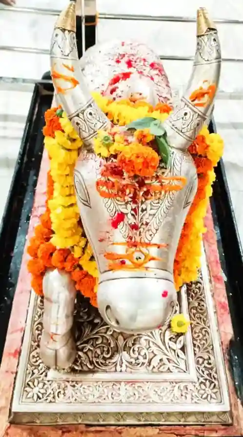 Hanuman Jayanti 2024 Hanuman Jayanti Ujjain Baba Mahakal Decorated Form Of Hanuman Ji In Bhasma Aarti.