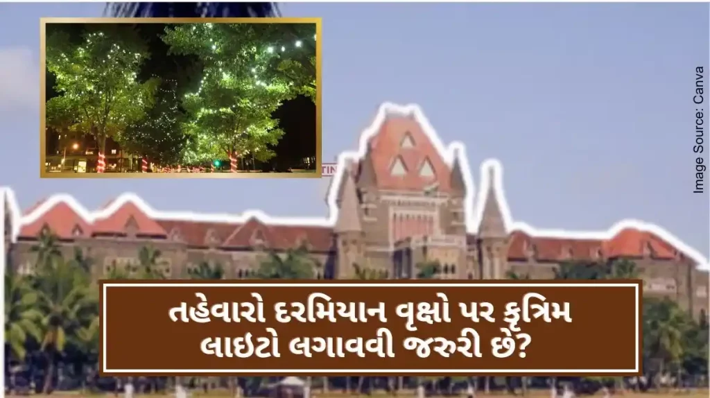 Is it necessary to put artificial lights on trees during festivals Bombay High Court's question against Maharashtra government