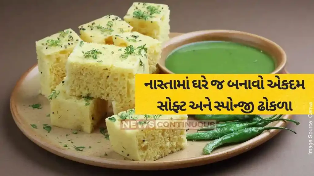 Khaman Dhokla Recipe how to make Spongy and Soft Instant Gujarati Khaman Dhokla Recipe