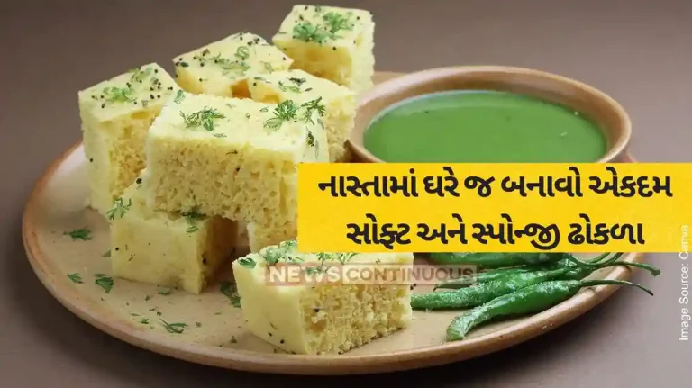 Khaman Dhokla Recipe how to make Spongy and Soft Instant Gujarati Khaman Dhokla Recipe