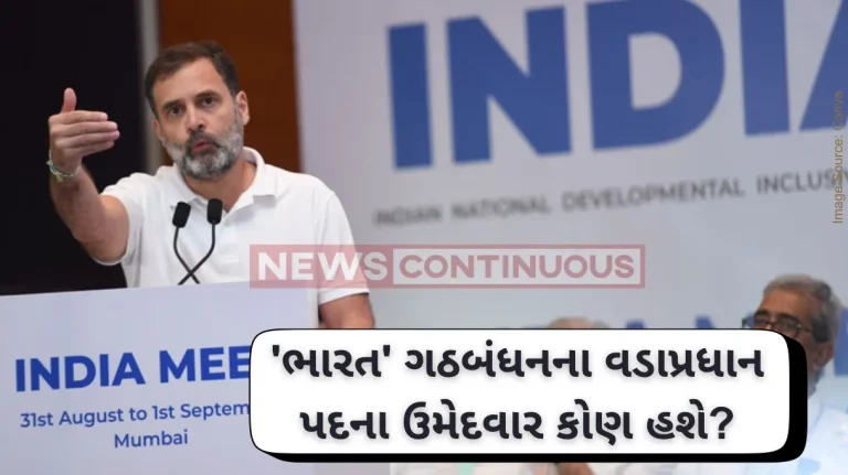 Lok Sabha Election 2024 INDIA bloc's PM face to be decided after Lok Sabha polls Rahul Gandhi