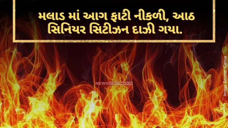 Mumbai News Fire breaks out in Malad, eight senior citizens get burnt.