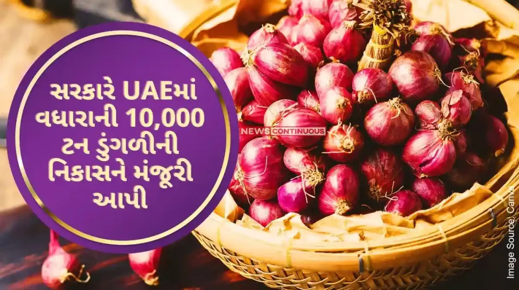 Onion Export Govt approves additional 10,000 tonnes onion export to UAE, will farmers benefit