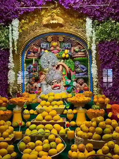 Ratnagiri mango annakut at shree kashtabhanjan dev hanuman mandir salangpur in botad 