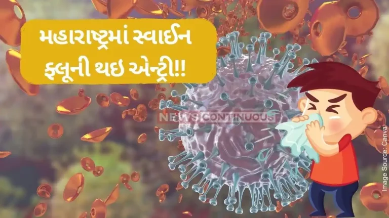 Swine FluSwine Flu Two Died In Malegaon, Maharashtra (2) Swine FluSwine Flu Two Died In Malegaon, Maharashtra