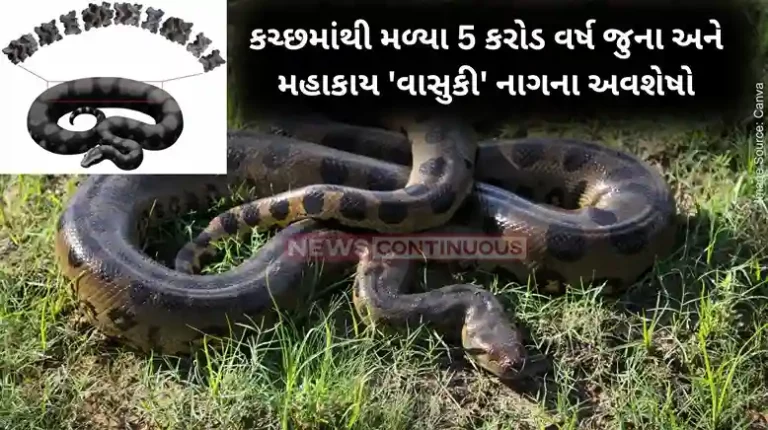 Vasuki Indicus Kutch fossil shows 50 ft Vasuki Indicus may have been largest ever snake