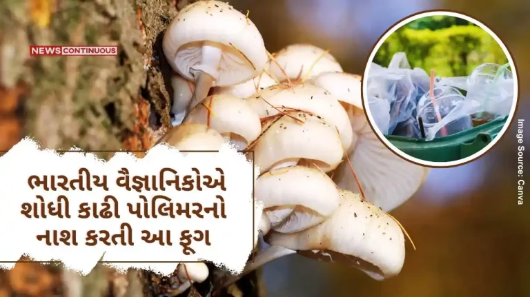 Amazing work of Indian scientists Indian scientists have discovered this fungus that destroys polymers, now single use plastic will be removed Amazing work of Indian scientists Indian scientists have discovered this fungus that destroys polymers, now single use plastic will be removed
