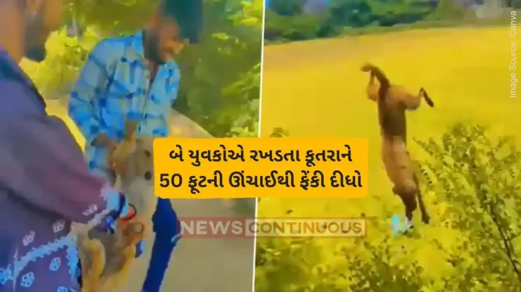Animal Cruelty 2 Youths Swing Stray Dog, Throw It Off From 50 Ft Height In Sayali Village