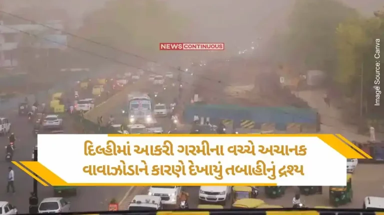 Delhi Dust Storm Scene of devastation seen due to sudden storm in Delhi amid extreme heat, 2 people died, more than 6 people injured