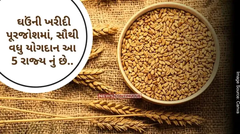 In the wheat buying spree, these 5 states contributed the most.. Lakhs of farmers benefited In the wheat buying spree, these 5 states contributed the most.. Lakhs of farmers benefited