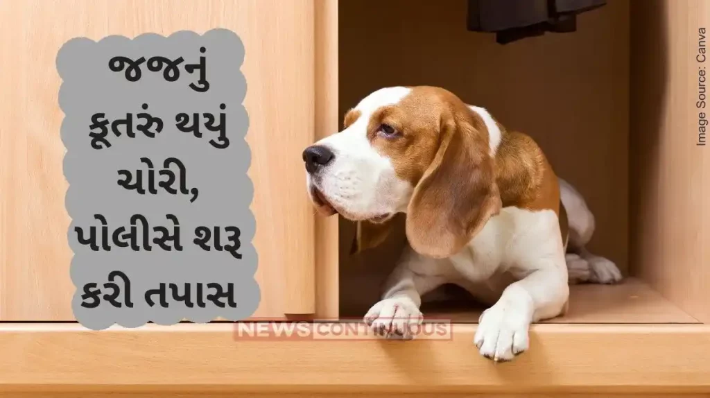 Judge's Dog Missing Uttar Pradesh judge’s dog 'stolen' from home, case against over 2 dozen people