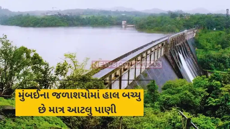 Mumbai Water Crisis Mumbai's water stock hits lowest level in three years