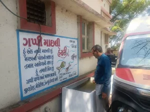 NVBDCP in Surat district from April 15 to April 30. Intensive house to house surveillance was carried out