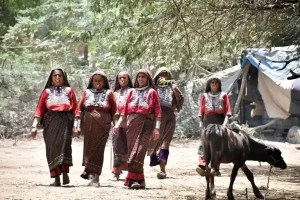 Polling station set up in shipping container for voters of Aliabet surrounded by water