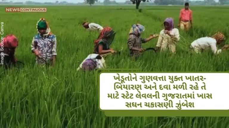 Special intensive verification campaign for two days in Gujarat to ensure quality fertilizer-seeds and medicine to farmers