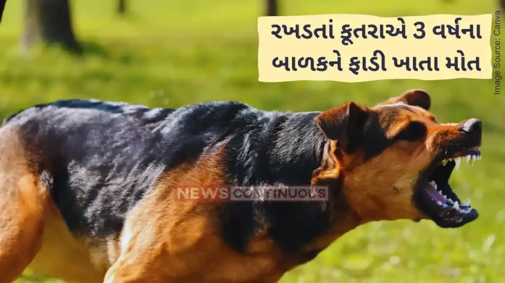 Stray Dog Attack Tragic Death of Three-Year-Old in Mauda near Nagpur Due to Stray Dog Attack