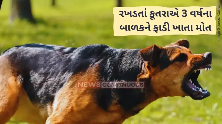 Stray Dog Attack Tragic Death of Three-Year-Old in Mauda near Nagpur Due to Stray Dog Attack