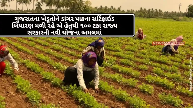 100% state government's new scheme to ensure farmers of Gujarat get certified paddy seeds