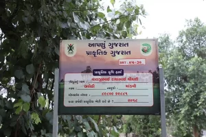 A progressive farmer of Balethi village of Mandvi taluka of Surat district has succeeded in low-cost organic farming.