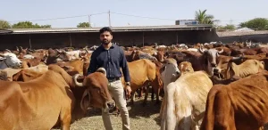 Ankur Dholakia, a 12th grader from Surat, earns bumper earnings by exporting cow-based Ayurvedic products to 17 countries.