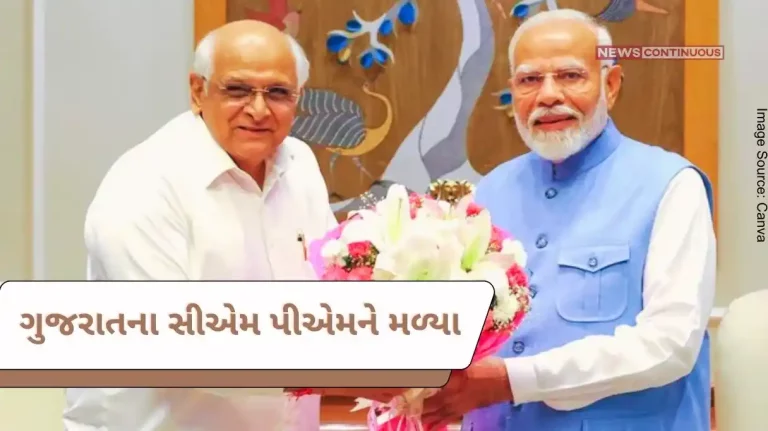 CM of Gujarat met PM