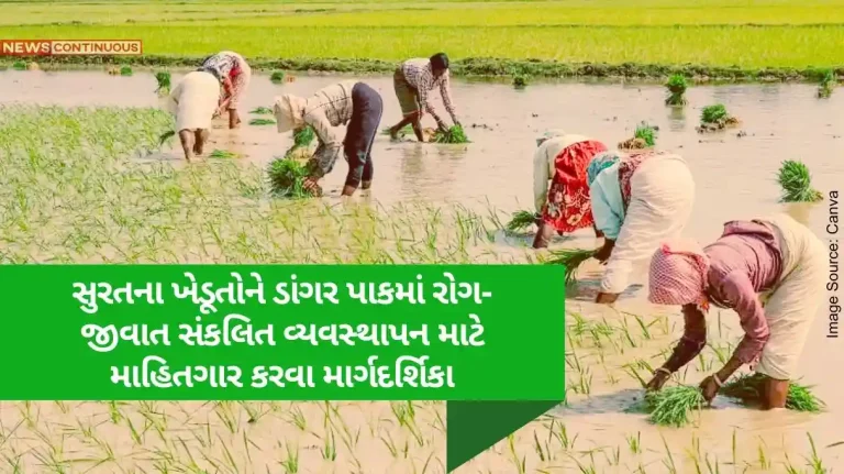 District Agriculture Officer Guidelines to sensitize the farmers of Surat district for integrated pest and disease management in paddy crop