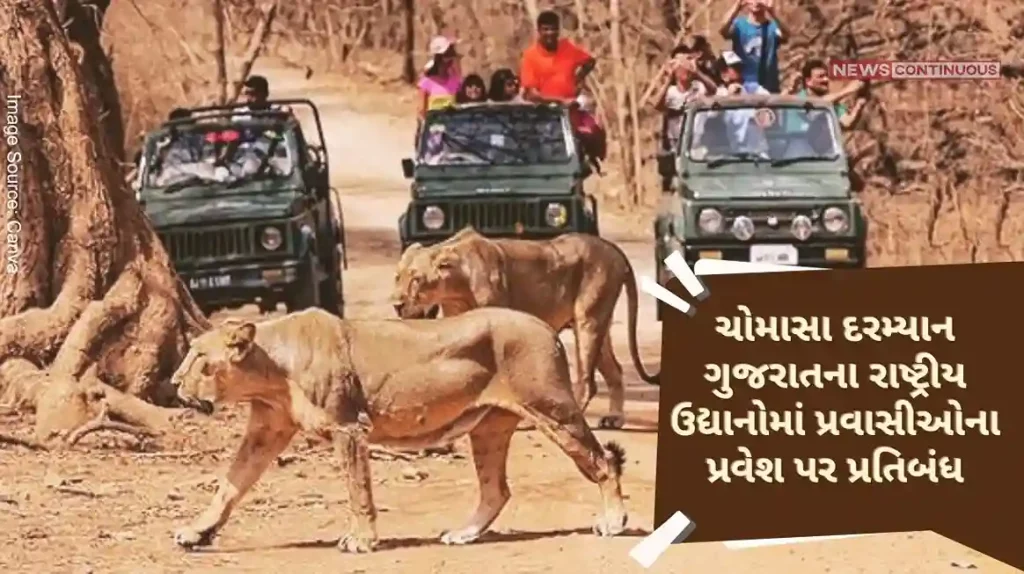 Entry of tourists to all sanctuaries and national parks of Gujarat will be restricted from June 15 to October 15 during monsoon.
