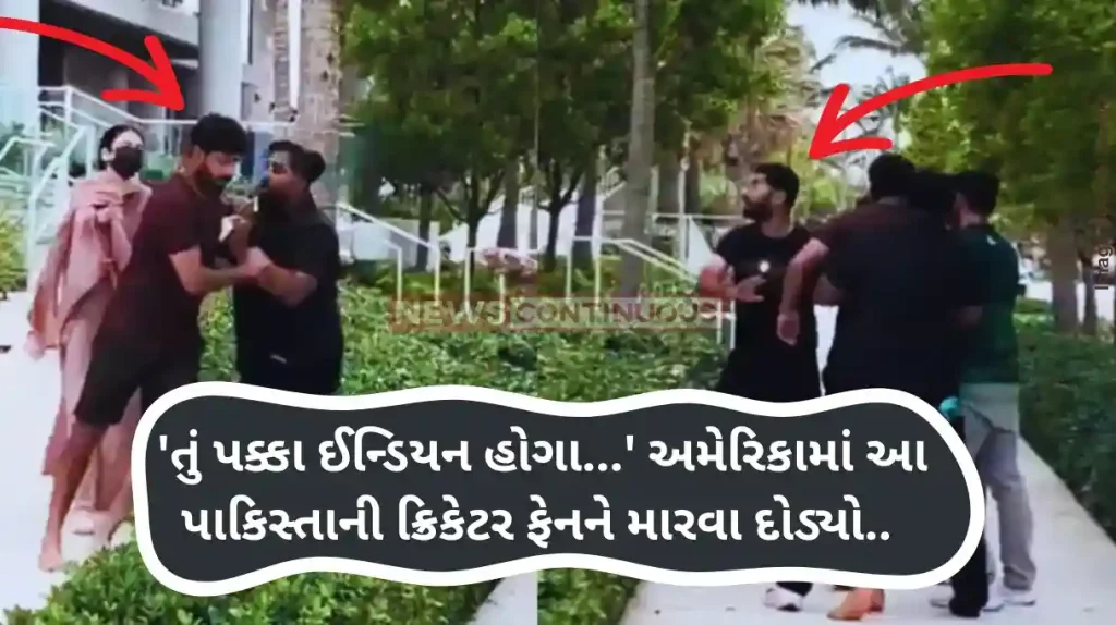 Haris Rauf Video Haris Rauf Loses Cool, Breaks Into Ugly Fight With Pakistan Fan - WATCH