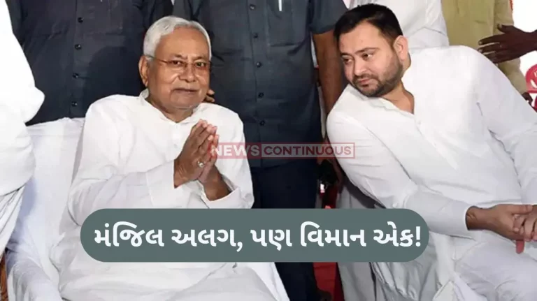 Lok Sabha election 2024 Results Nitesh Kumar And Tejasvi Yadav In Same Flight To Delhi