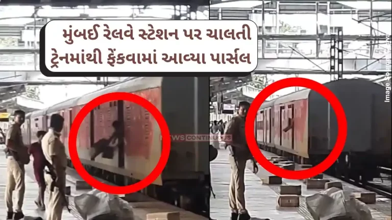 Mumbai station Parcels Scattered on Platform as Staff Throw Boxes from Moving Train, DRM Responds; VIDEO