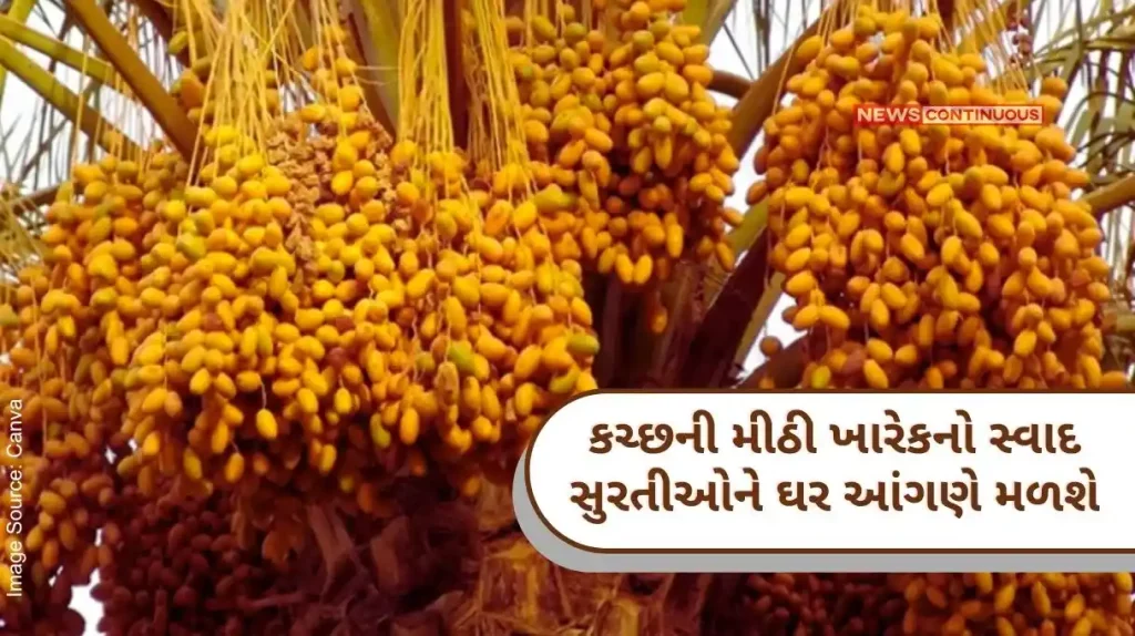 Surat Horticulture Deputy Director's Office & Kharek Sales Center of Kutch Prakrit Foundation open for 23 days