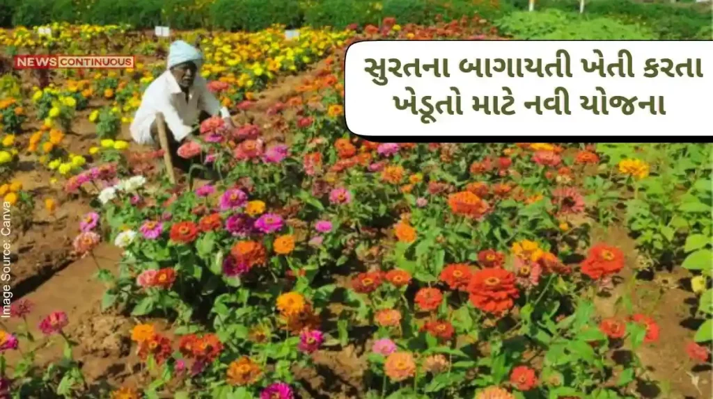 Three new schemes have been implemented this year for the horticultural farmers of Surat district